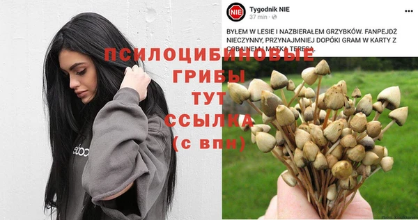 мефедрон мука Алексеевка