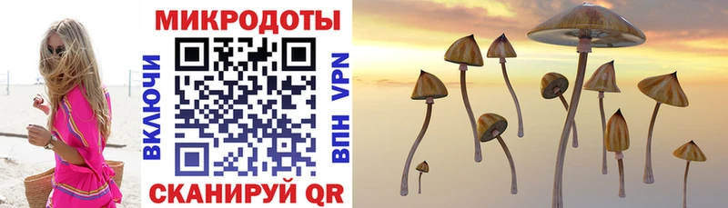 Псилоцибиновые грибы мухоморы  купить наркотик  Аткарск 